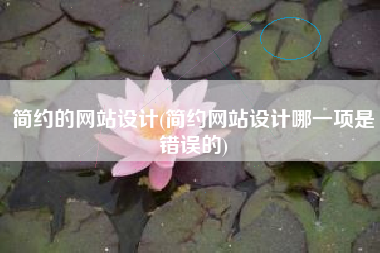 简约的网站设计(简约网站设计哪一项是错误的)