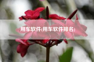 用车软件(用车软件排名)