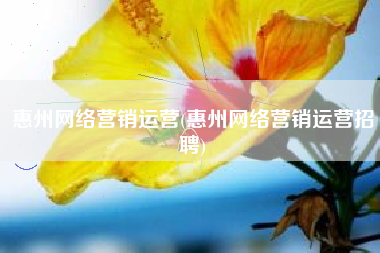 惠州网络营销运营(惠州网络营销运营招聘)