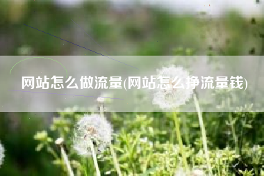 网站怎么做流量(网站怎么挣流量钱)