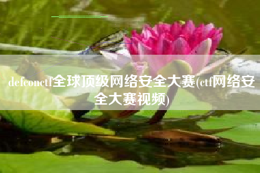 defconctf全球顶级网络安全大赛(ctf网络安全大赛视频)