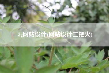 3g网站设计(网站设计三把火)