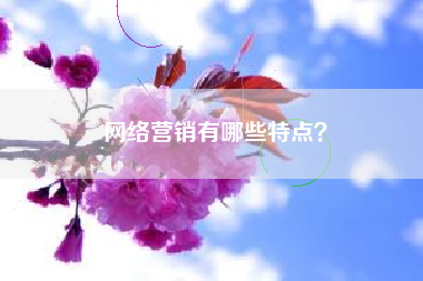 网络营销有哪些特点？