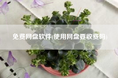 免费网盘软件(使用网盘要收费吗)