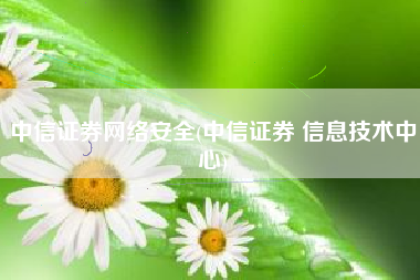 中信证券网络安全(中信证券 信息技术中心)