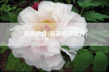 音效软件(搞笑音效软件)
