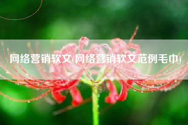 网络营销软文(网络营销软文范例毛巾)