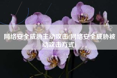 网络安全威胁主动攻击(网络安全威胁被动攻击方式)