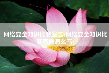 网络安全知识比赛宣言(网络安全知识比赛宣言怎么写)