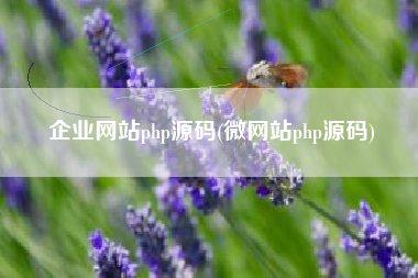 企业网站php源码(微网站php源码)
