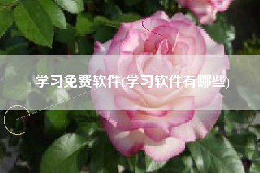 学习免费软件(学习软件有哪些)