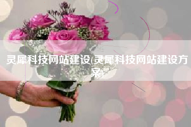 灵犀科技网站建设(灵犀科技网站建设方案)