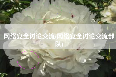 网络安全讨论交流(网络安全讨论交流部队)