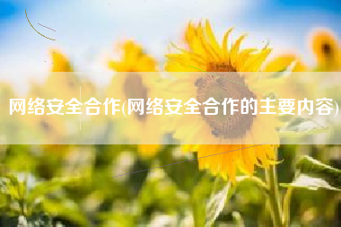网络安全合作(网络安全合作的主要内容)