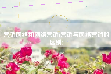 营销网络和网络营销(营销与网络营销的区别)