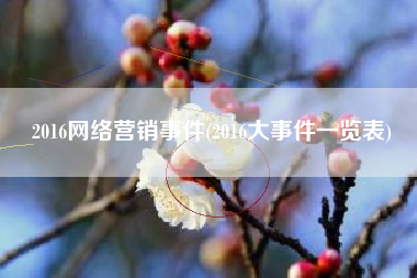 2016网络营销事件(2016大事件一览表)
