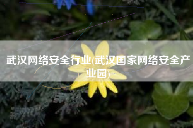 武汉网络安全行业(武汉国家网络安全产业园)