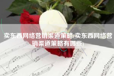 卖东西网络营销渠道策略(卖东西网络营销渠道策略有哪些)