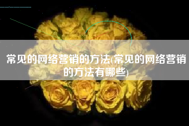 常见的网络营销的方法(常见的网络营销的方法有哪些)