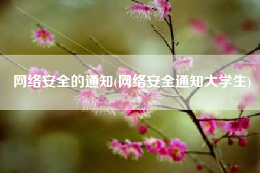 网络安全的通知(网络安全通知大学生)