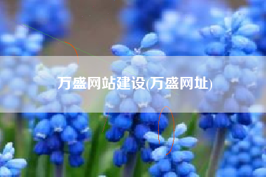 万盛网站建设(万盛网址)