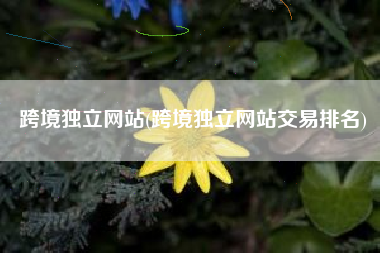 跨境独立网站(跨境独立网站交易排名)