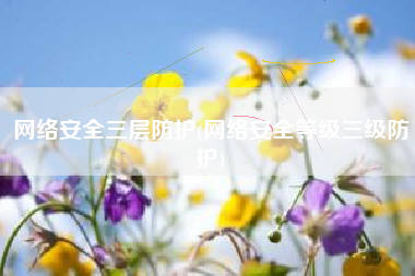 网络安全三层防护(网络安全等级三级防护)