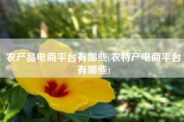 农产品电商平台有哪些(农特产电商平台有哪些)