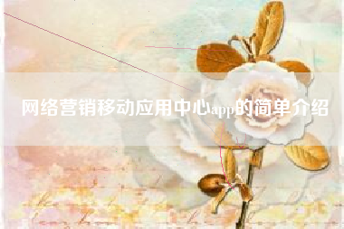网络营销移动应用中心app的简单介绍