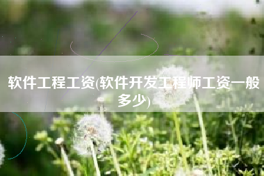 软件工程工资(软件开发工程师工资一般多少)