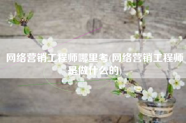 网络营销工程师哪里考(网络营销工程师是做什么的)