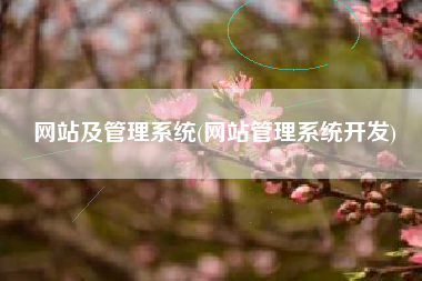 网站及管理系统(网站管理系统开发)