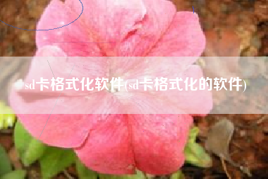 sd卡格式化软件(sd卡格式化的软件)