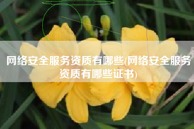 网络安全服务资质有哪些(网络安全服务资质有哪些证书)
