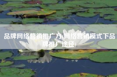 品牌网络营销推广方(网络营销模式下品牌推广途径)
