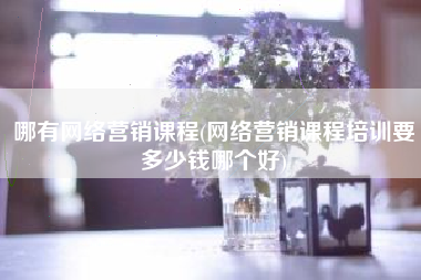 哪有网络营销课程(网络营销课程培训要多少钱哪个好)