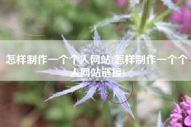 怎样制作一个个人网站(怎样制作一个个人网站链接)