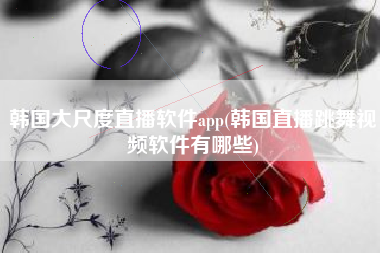 韩国大尺度直播软件app(韩国直播跳舞视频软件有哪些)