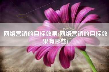 网络营销的目标效果(网络营销的目标效果有哪些)