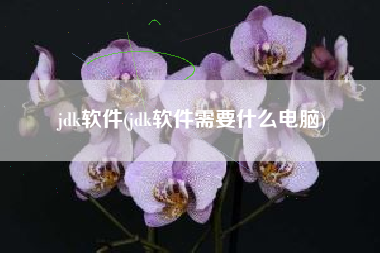 jdk软件(jdk软件需要什么电脑)