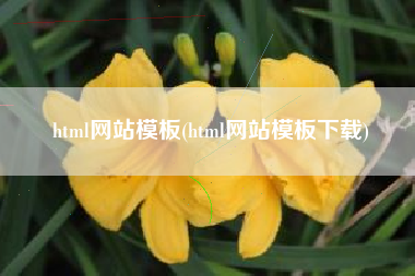 html网站模板(html网站模板下载)