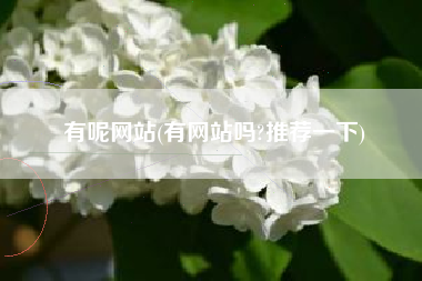 有呢网站(有网站吗?推荐一下)