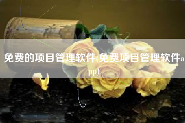 免费的项目管理软件(免费项目管理软件app)