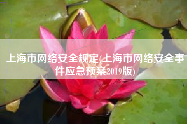 上海市网络安全规定(上海市网络安全事件应急预案2019版)