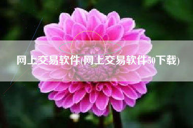 网上交易软件(网上交易软件50下载)