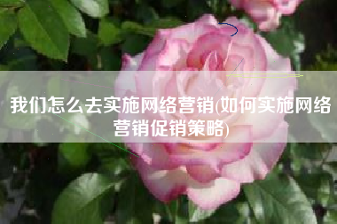 我们怎么去实施网络营销(如何实施网络营销促销策略)