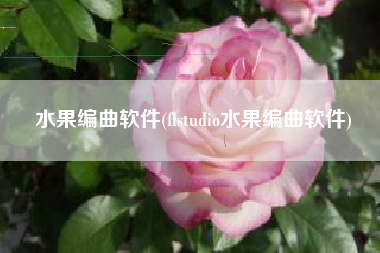 水果编曲软件(flstudio水果编曲软件)