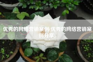 优秀的网络营销案例(优秀的网络营销案例分享)