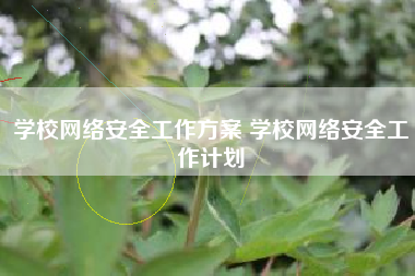 学校网络安全工作方案 学校网络安全工作计划