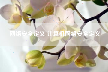 网络安全定义 计算机网络安全定义